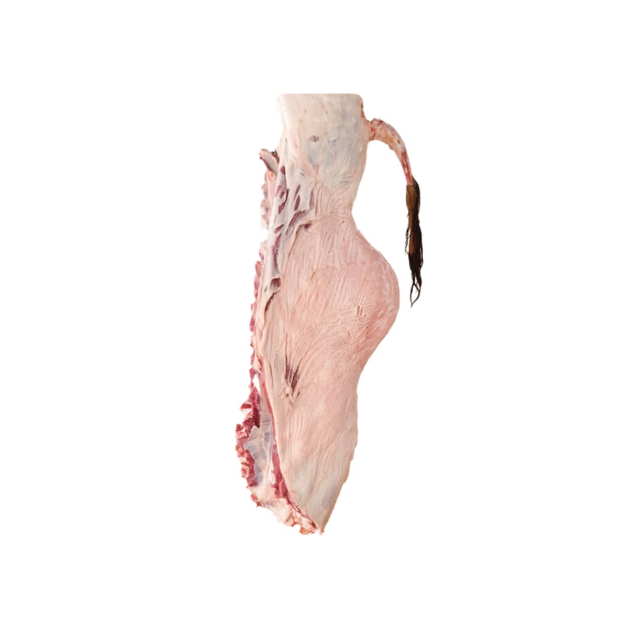 ثمن حاشي حوار