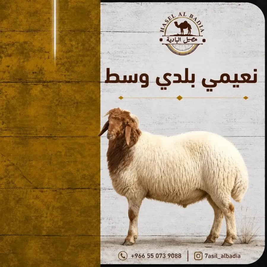 نعيمي بلدي جذع