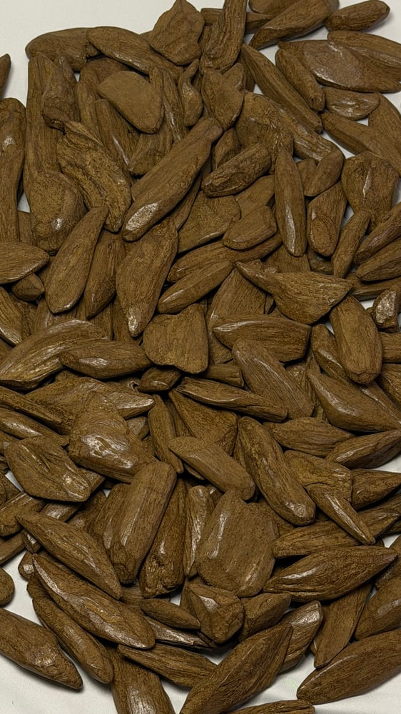 Moroccan oud, Sicon