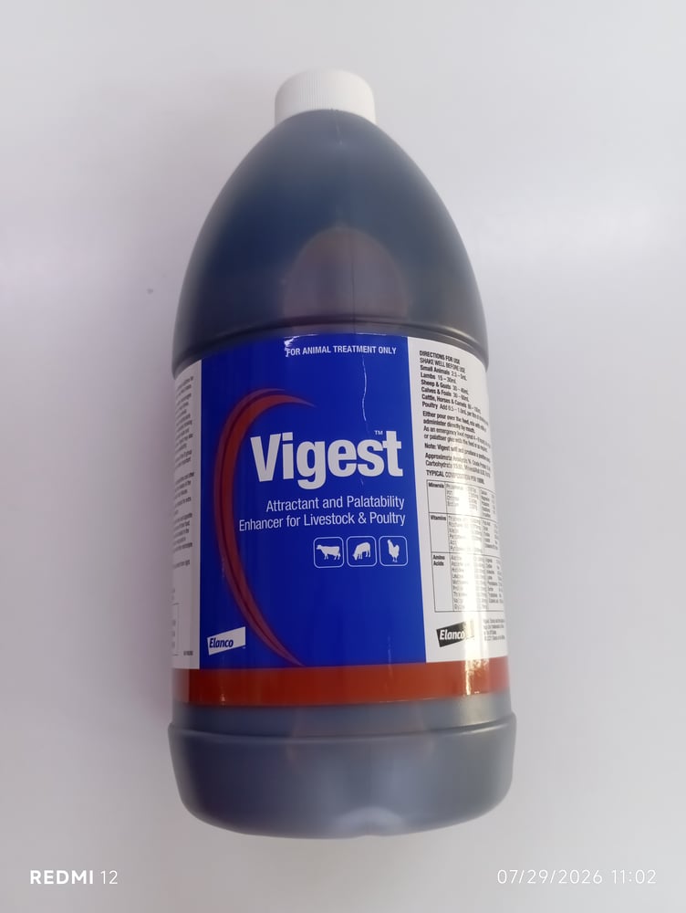 فايجست 2لتر vigest