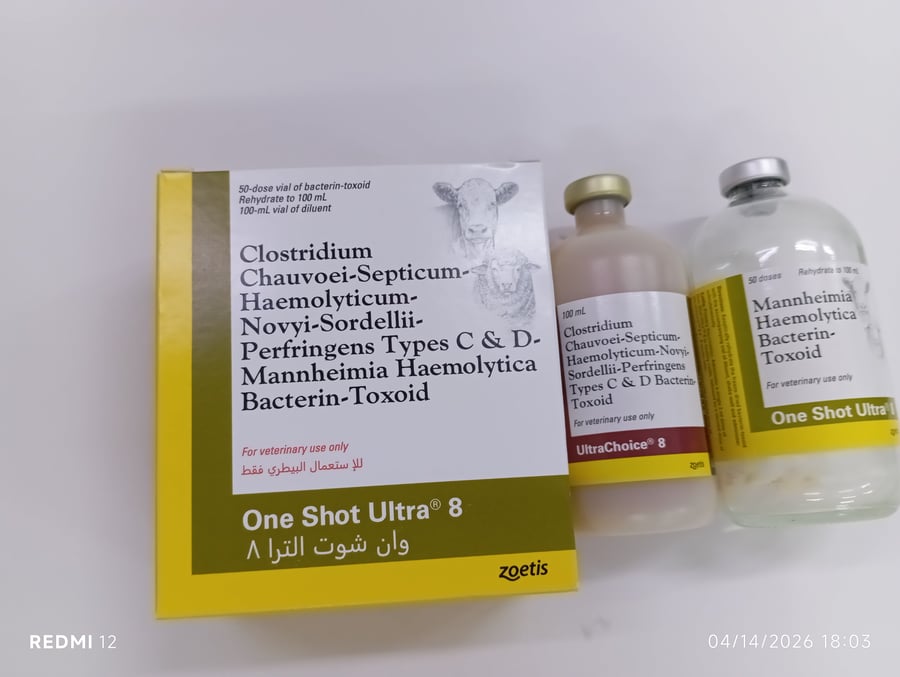 وان شوت الترا 8 one shot ultra