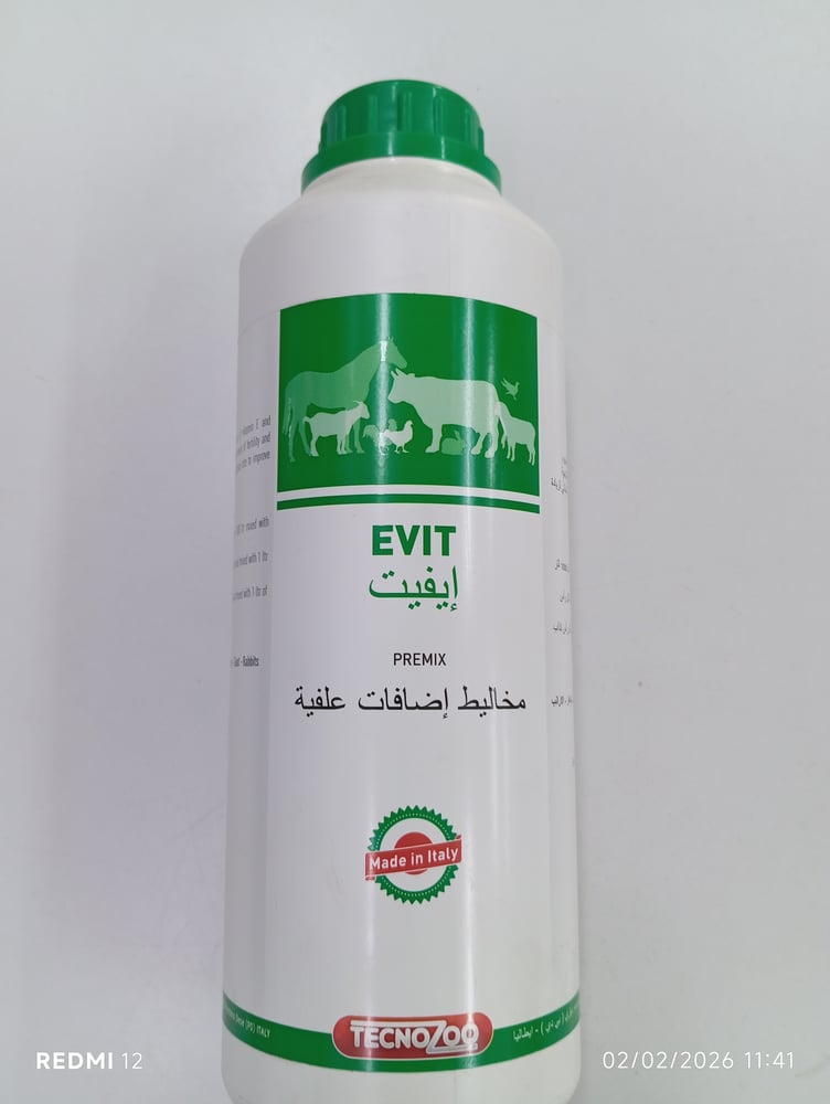Evit ايفيت