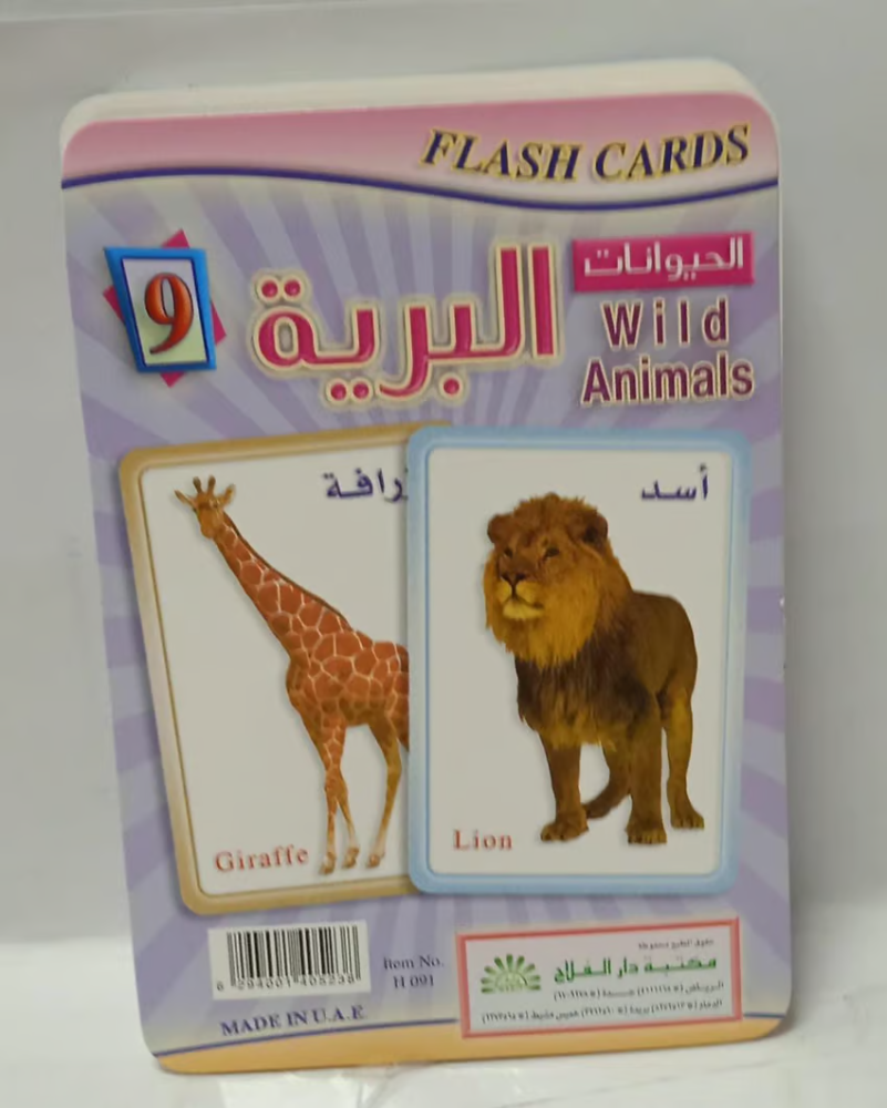 Wild animals flash card 12*12