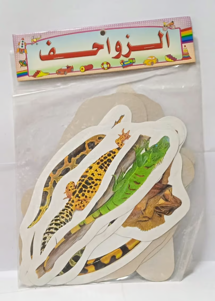 Cut images - reptiles