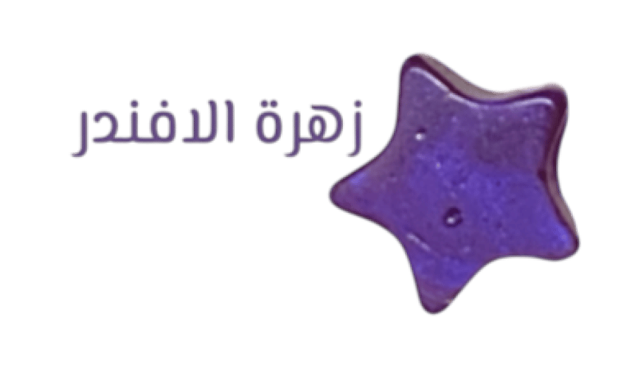 بخور مستكة روائح متعددة 30 حبة