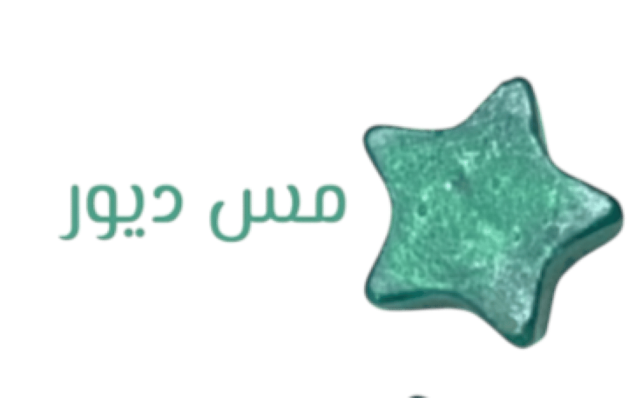 بخور مستكة روائح متعددة 30 حبة