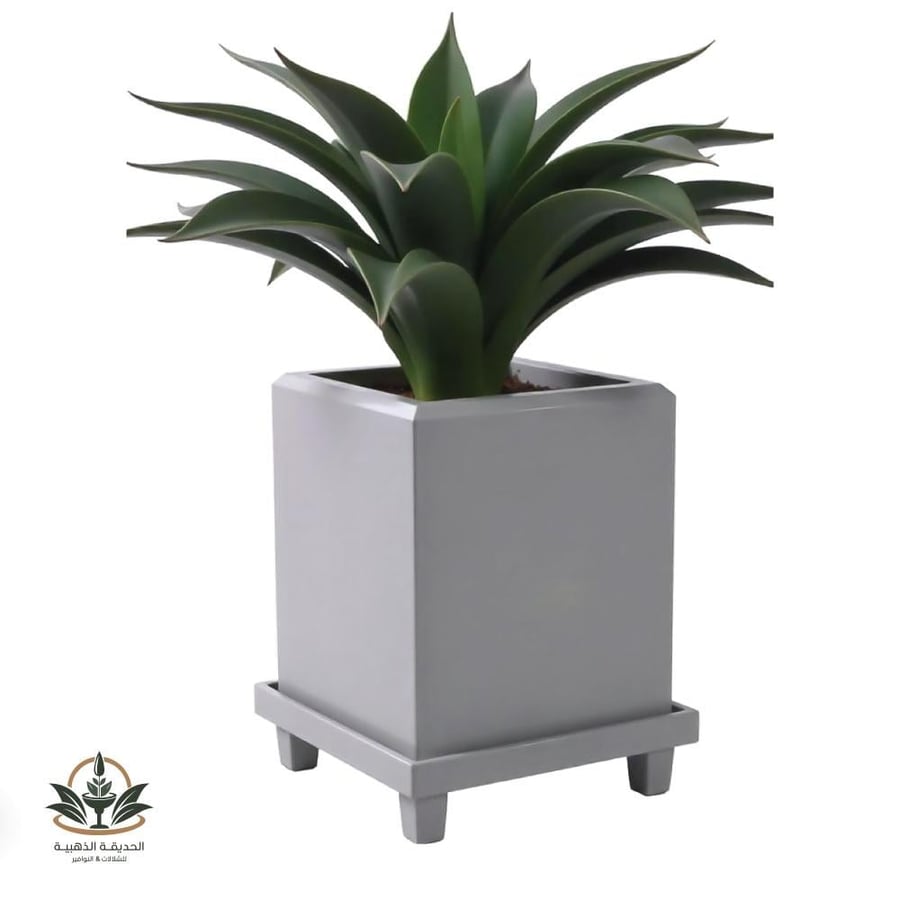 A ready parking for planting with a base