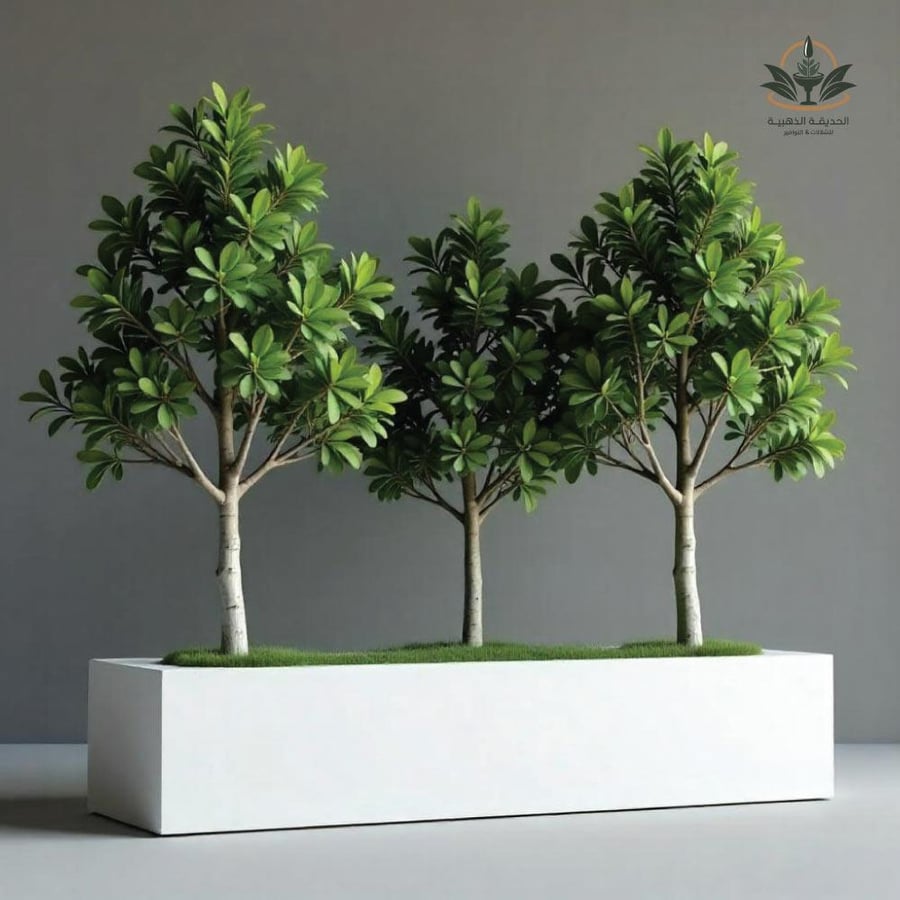 Large plant pot 2m