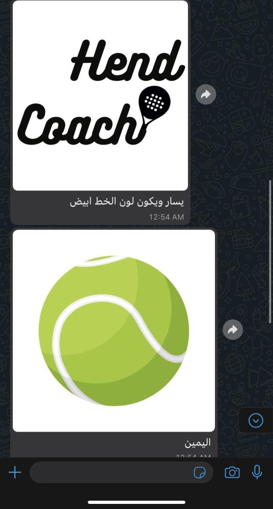 مضرب