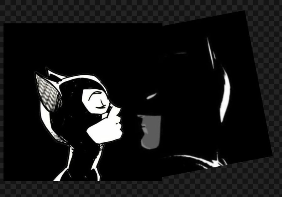 Bat cat