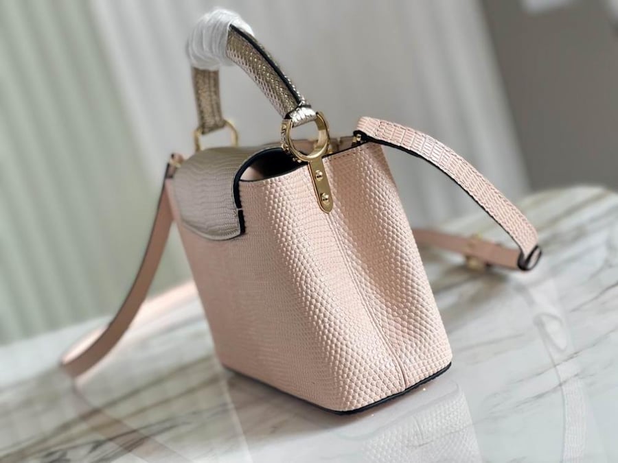 Louis Vuitton mini capsa 21cm