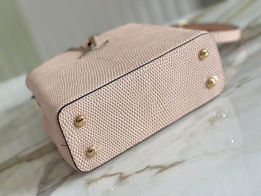 Louis Vuitton mini capsa 21cm