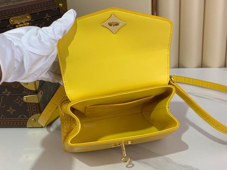 Louis Vuitton Rose des vents mini size 19