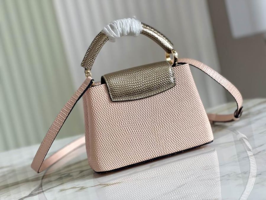 Louis Vuitton mini capsa 21cm