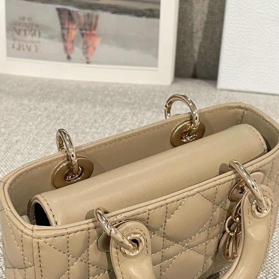 Dior Di Joue Micro 16cm