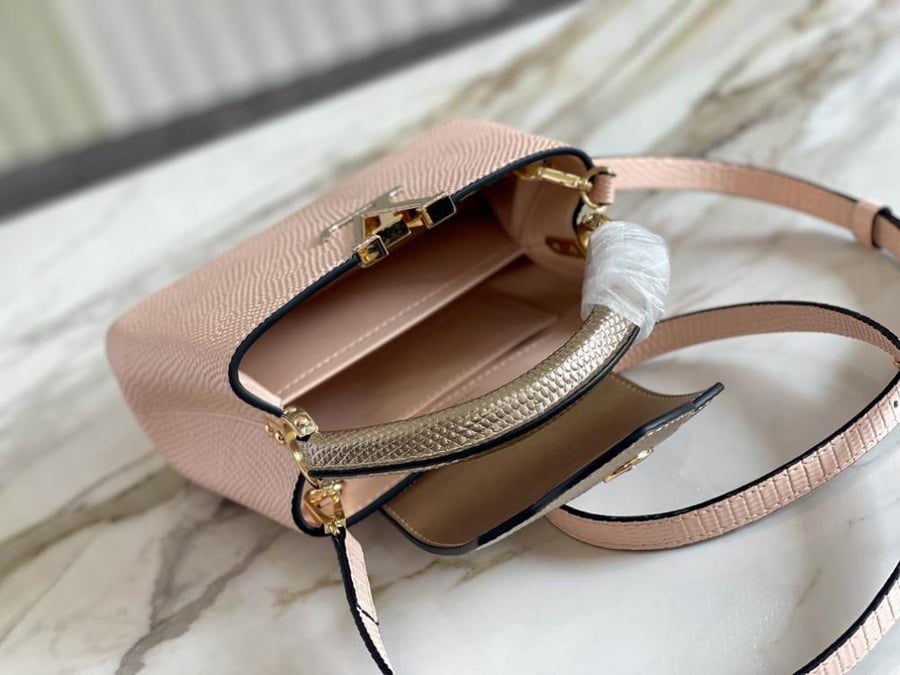 Louis Vuitton mini capsa 21cm