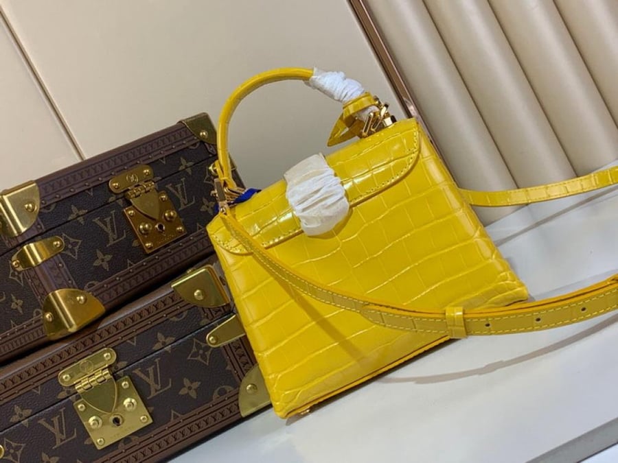 Louis Vuitton Rose des vents mini size 19