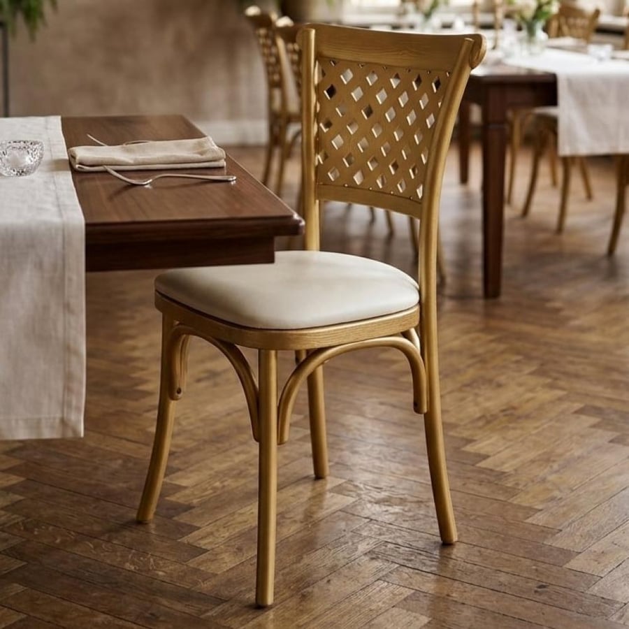 Dining and occasion and outdoor fiber chair with velvet seat ZH001GD