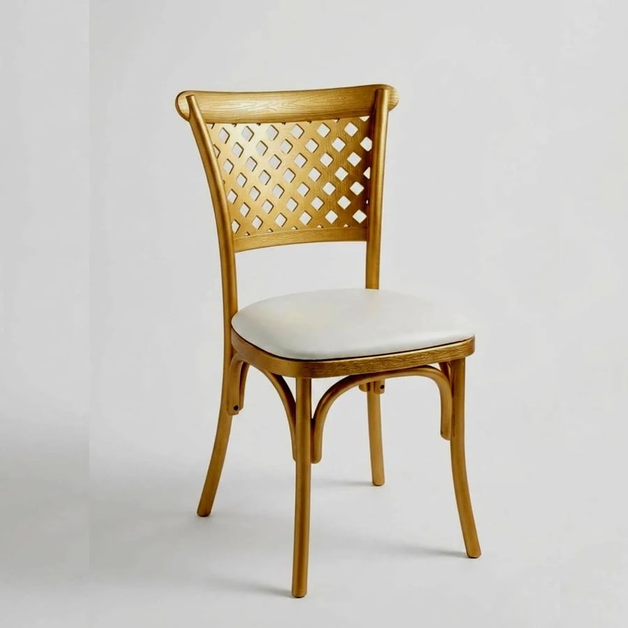 Dining and occasion and outdoor fiber chair with velvet seat ZH001GD