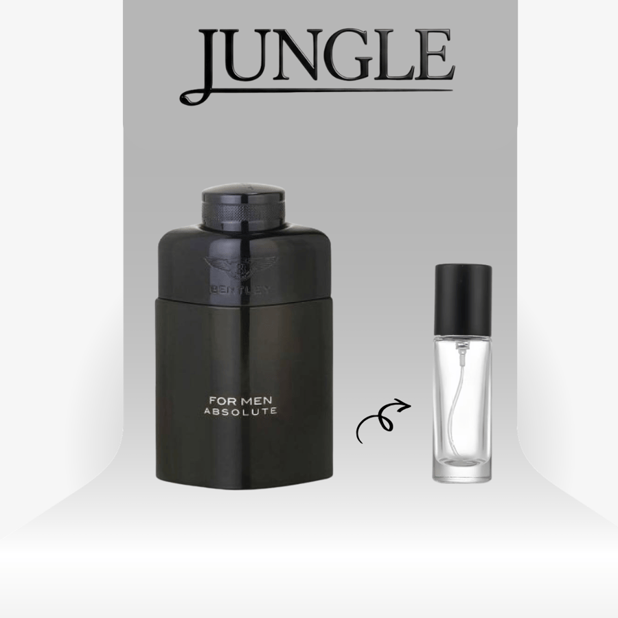 عطر بنتلي ابسولو او دو بارفيوم تقسيم 25 مل