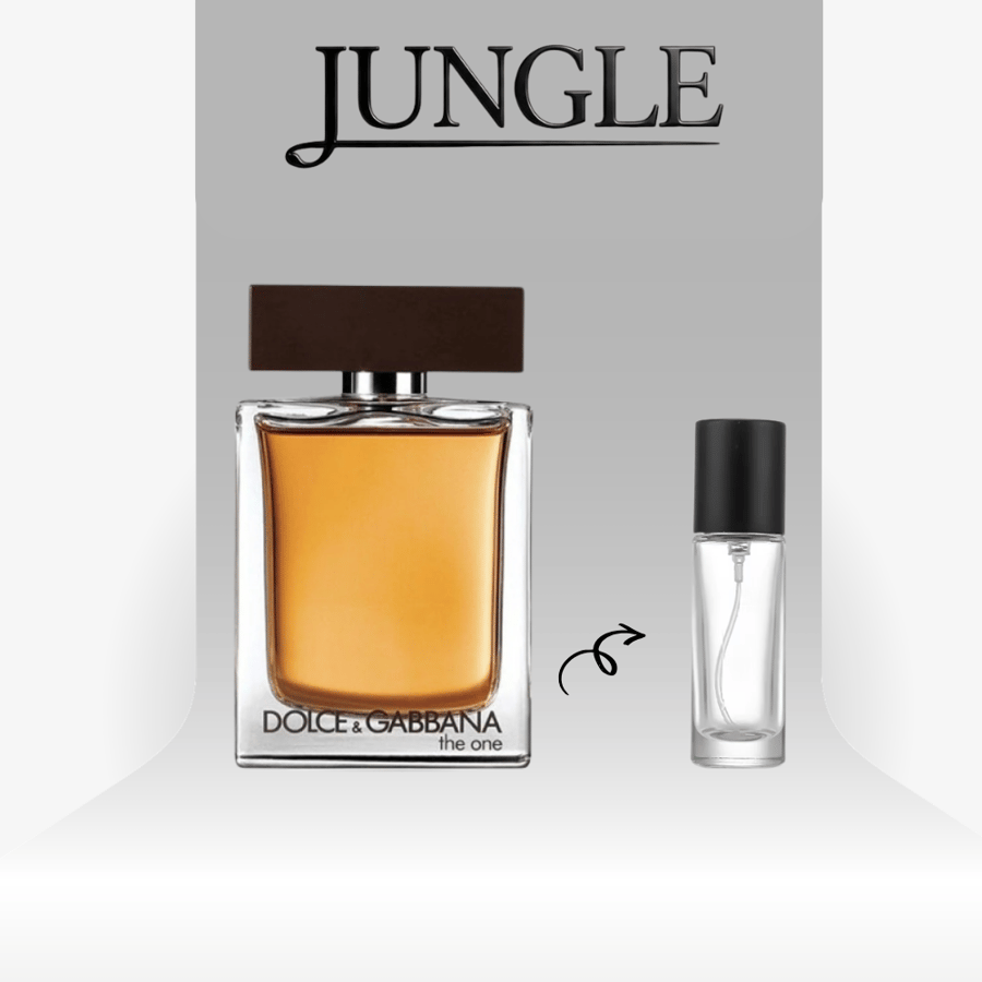 عطر دولتشي اند غابانا ذا ون للرجال - او دو تواليت تقسيم 25 مل