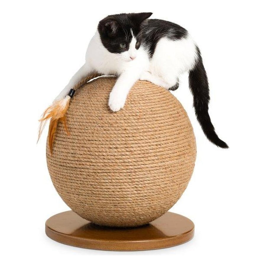 Prevue Pet Kitty Power Paws Sphere