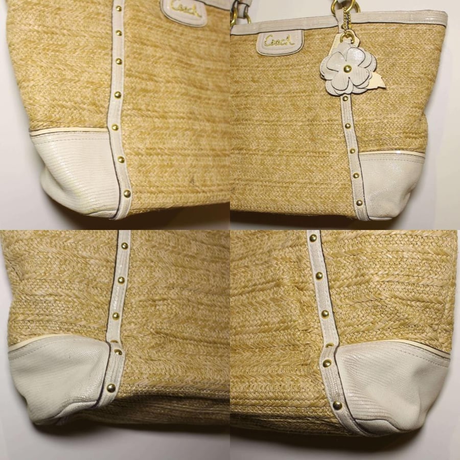 Coach Alexandra Python tote