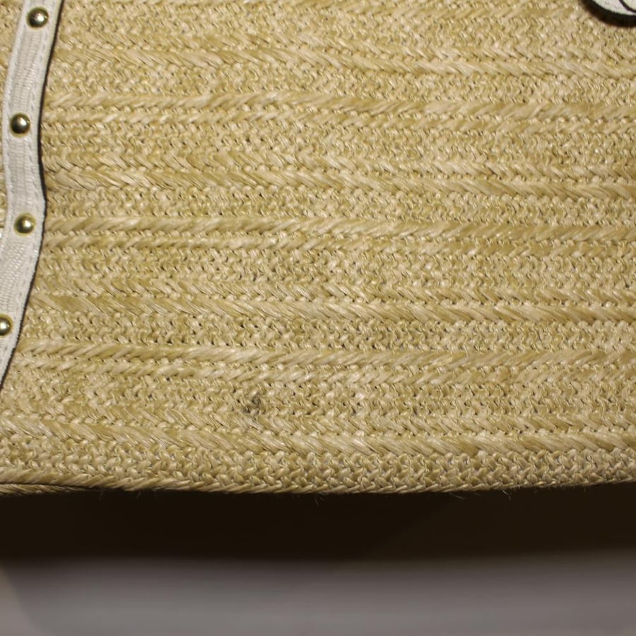 Coach Alexandra Python tote