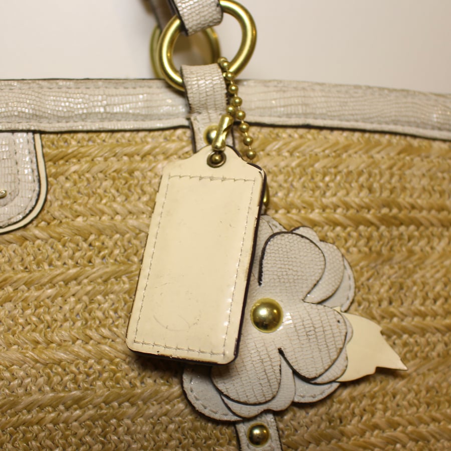 Coach Alexandra Python tote