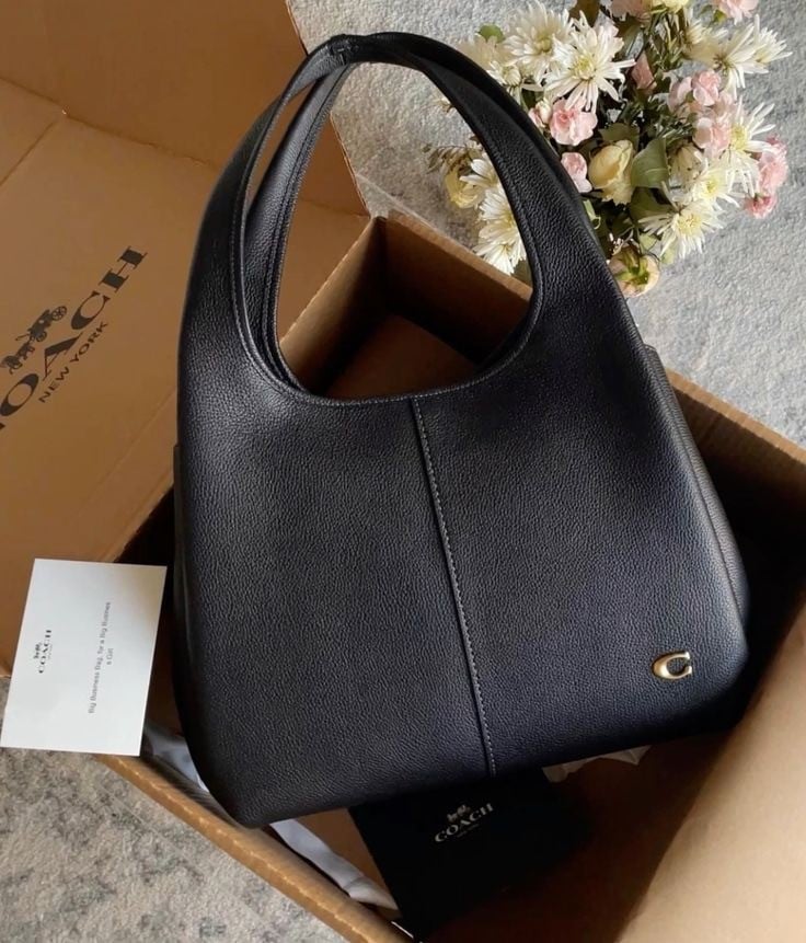 Coach lana bag
