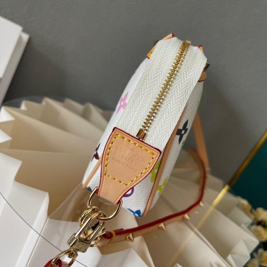 Lv colorful purse