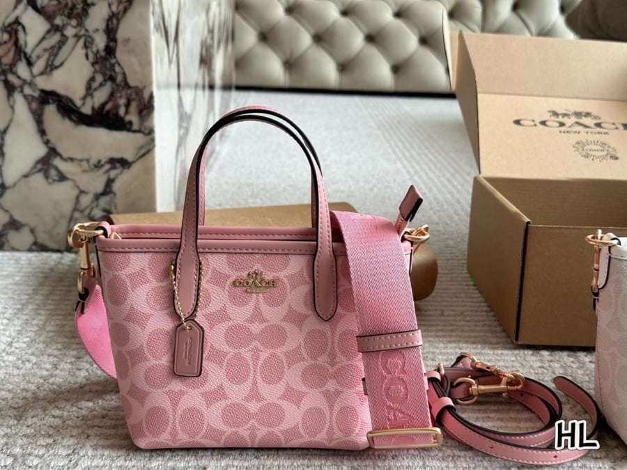 Coach mini bag