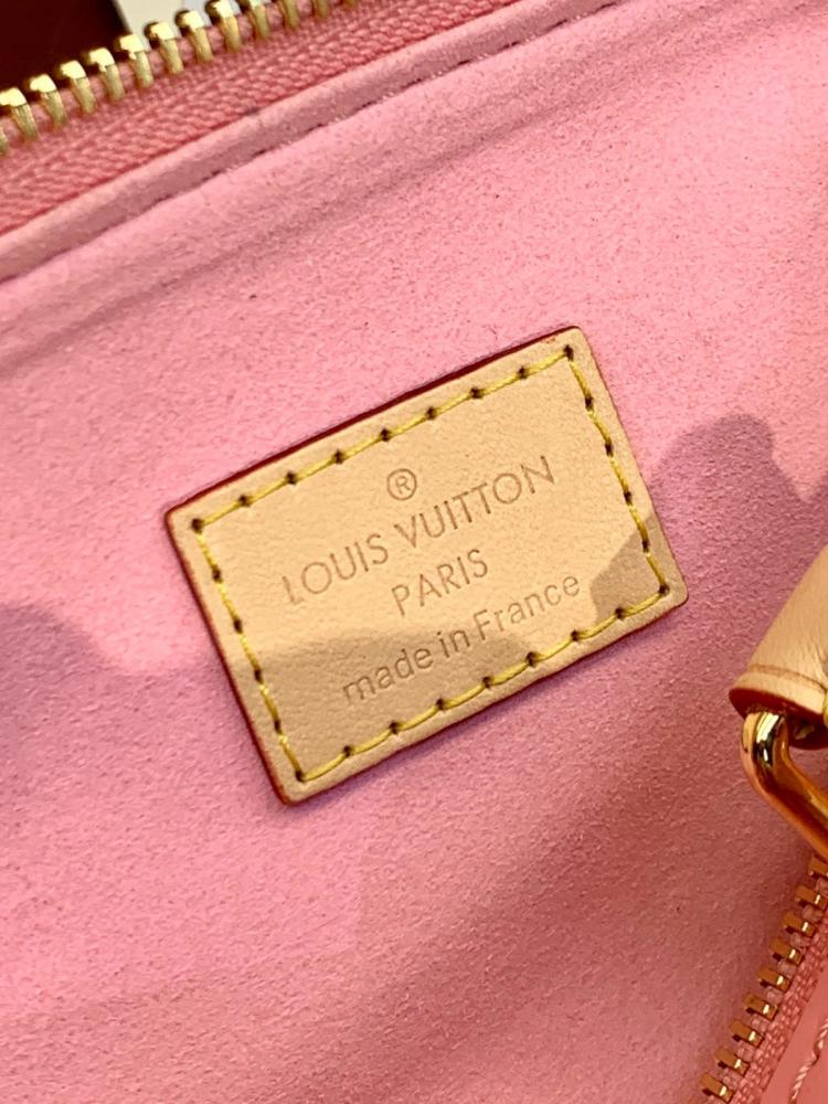 Lv speedy mini bag