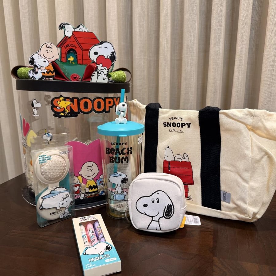 Snoopy character gift box