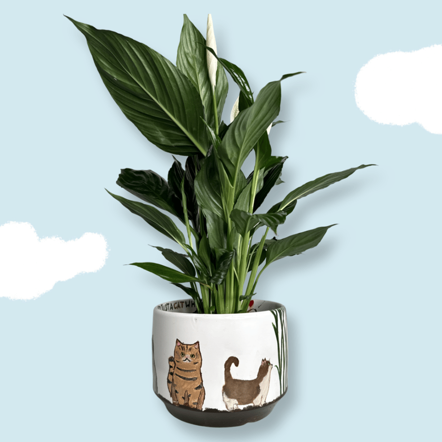 Cats who loves plant