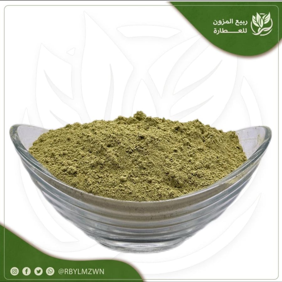 سدر حضرمي