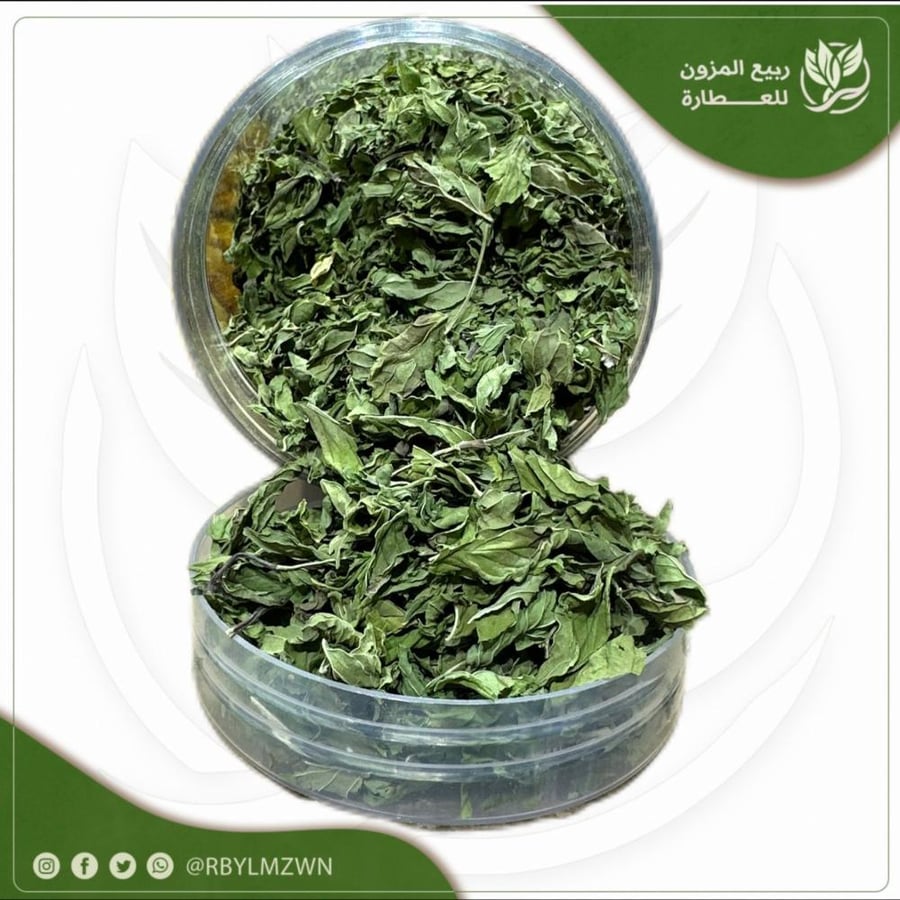 نعناع حائل