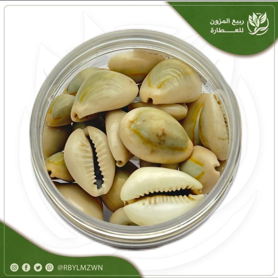 ودع مغربي