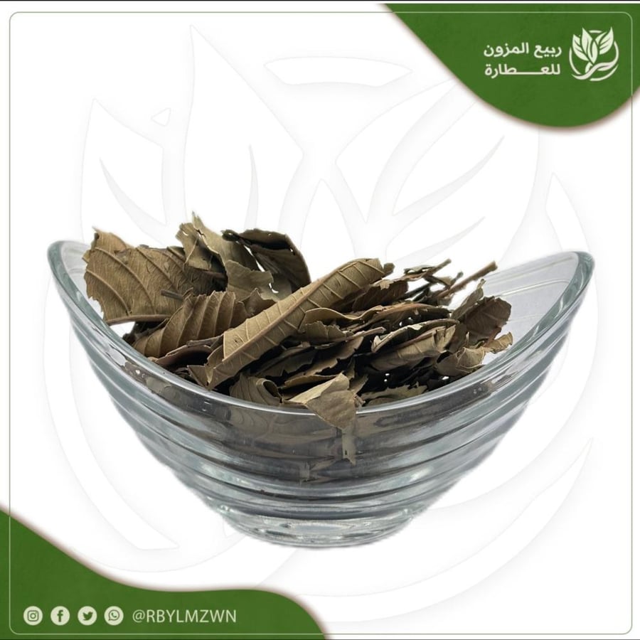 ورق جوافه