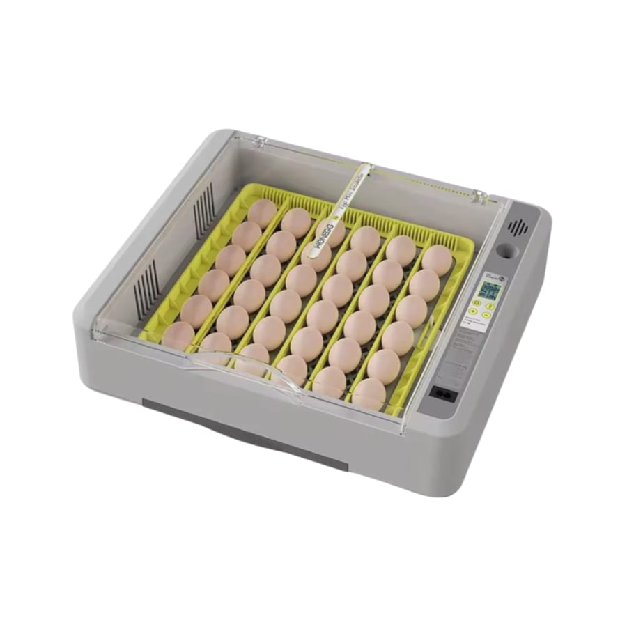 Automatic 36-egg incubator with rolling system, temperature and humidity control