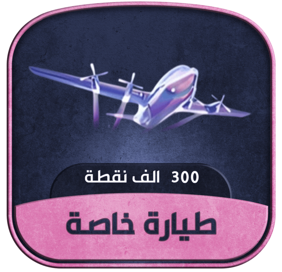 طيارة خاصة - 300 ألف شعبية