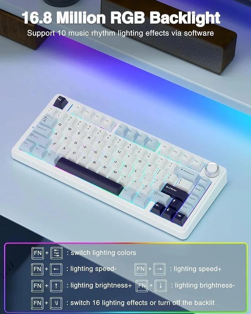 احرف عربي انجليزي Moktik × Aula F75 Glacier Blue Reaper Switch