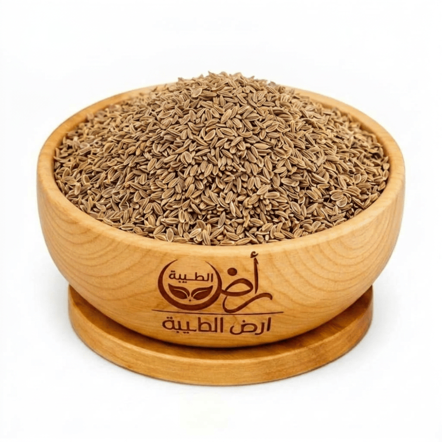 بذر شبت