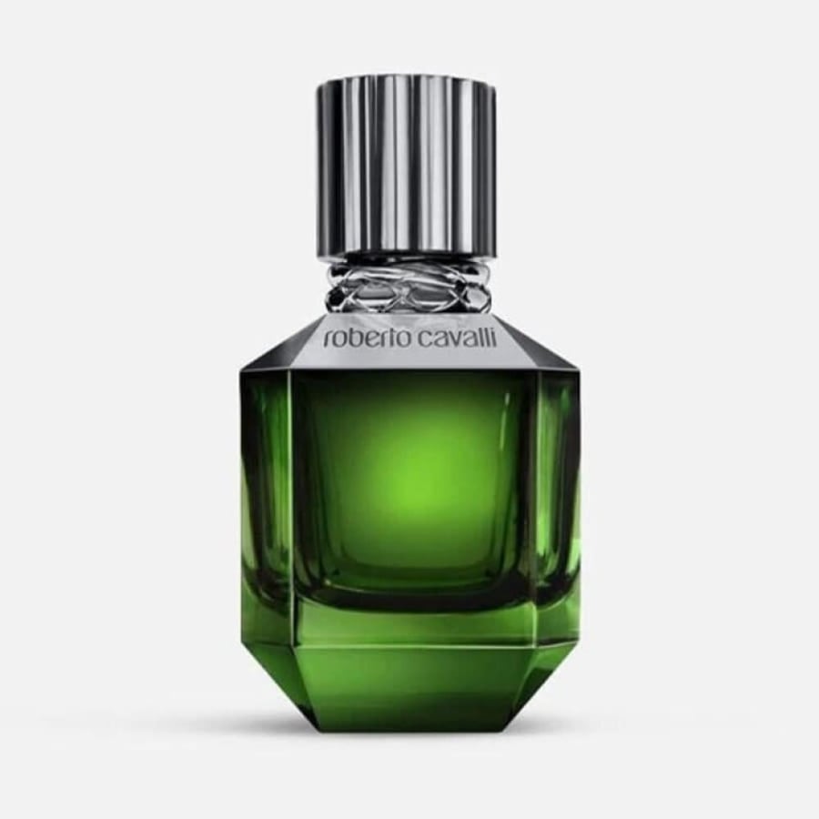 عطر روبرتو كفالي بردايس فوند للرجال او دو توليت 50 مل