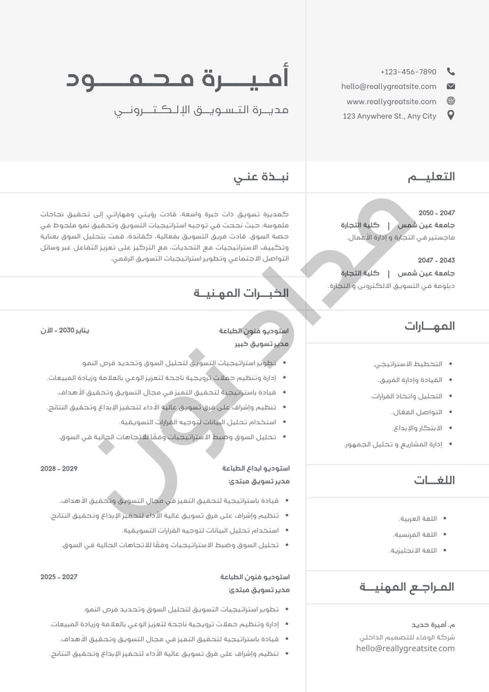 سيرة ذاتية احترافية قابلة للتعديل | تصميم 3