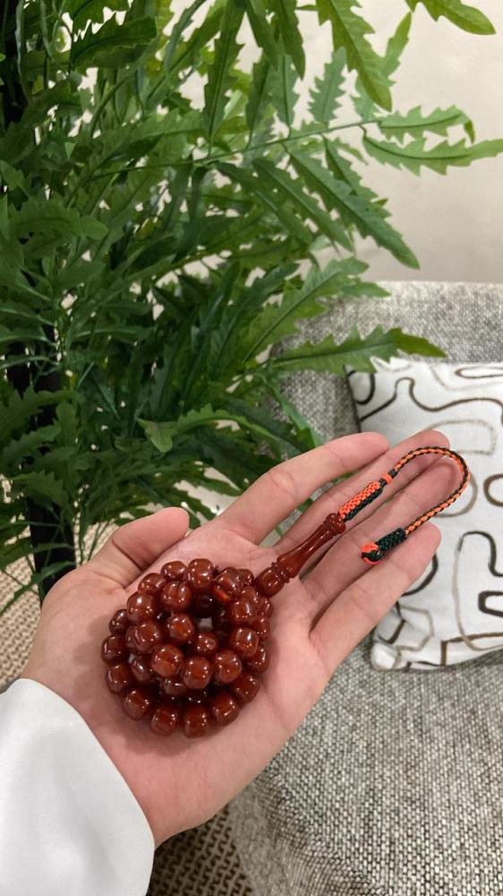 بكلايت بلجيكي بكركوشة مميزة