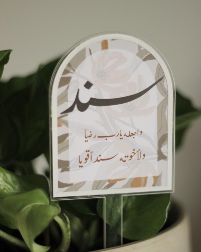 تغريسة نبات اكريليك - حجم صغير