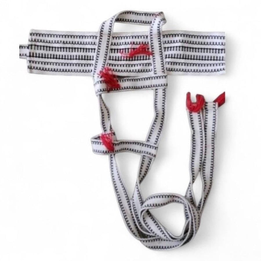 جنايب الابل