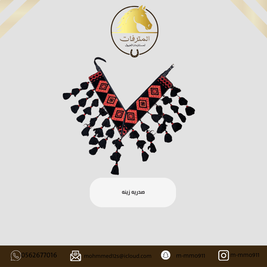 Beautiful bra for horses