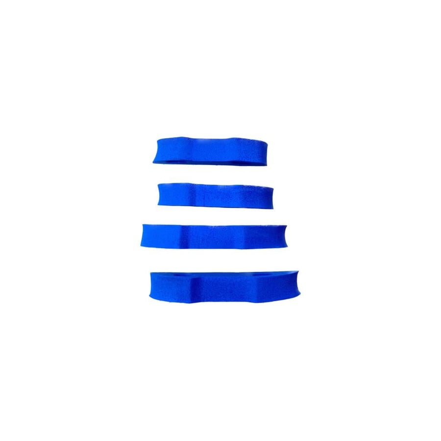 Blue door sponge set